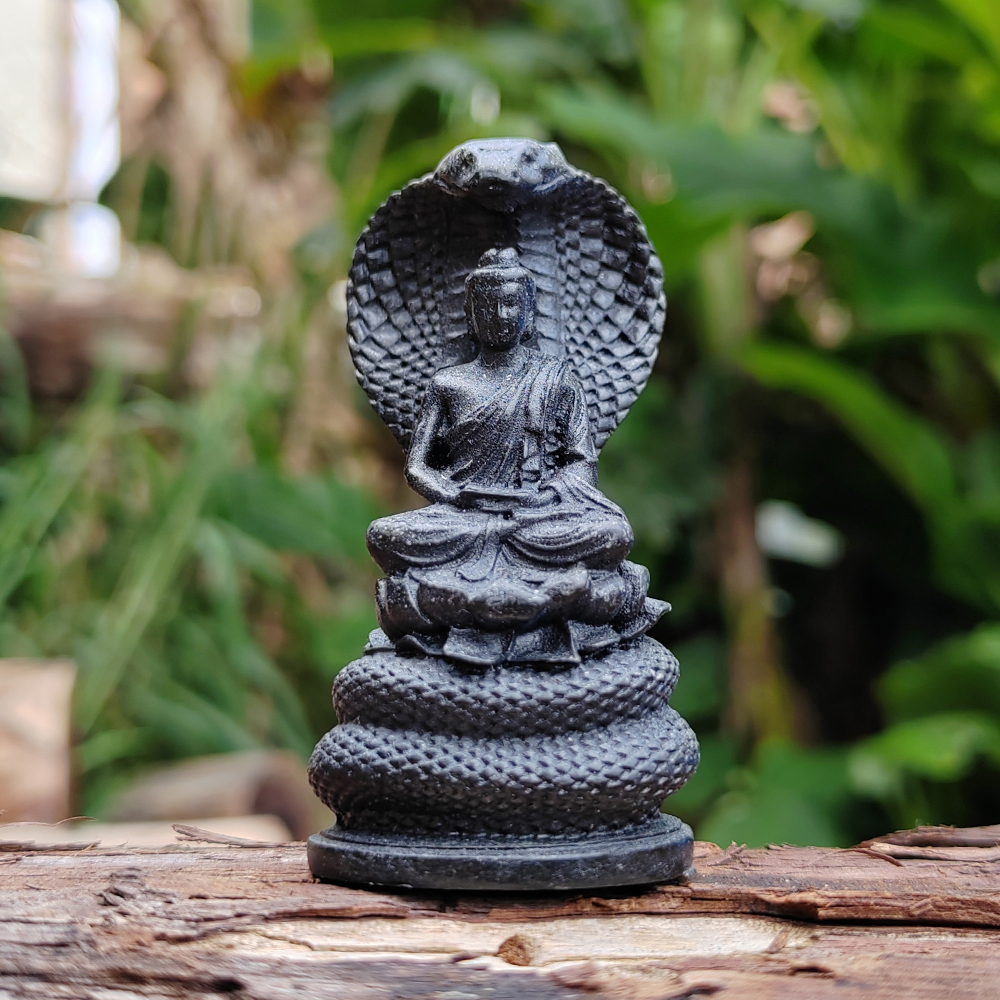 Snake-Guarding-Buddha Sculptur - Resin Art Decoration Items recension och pris