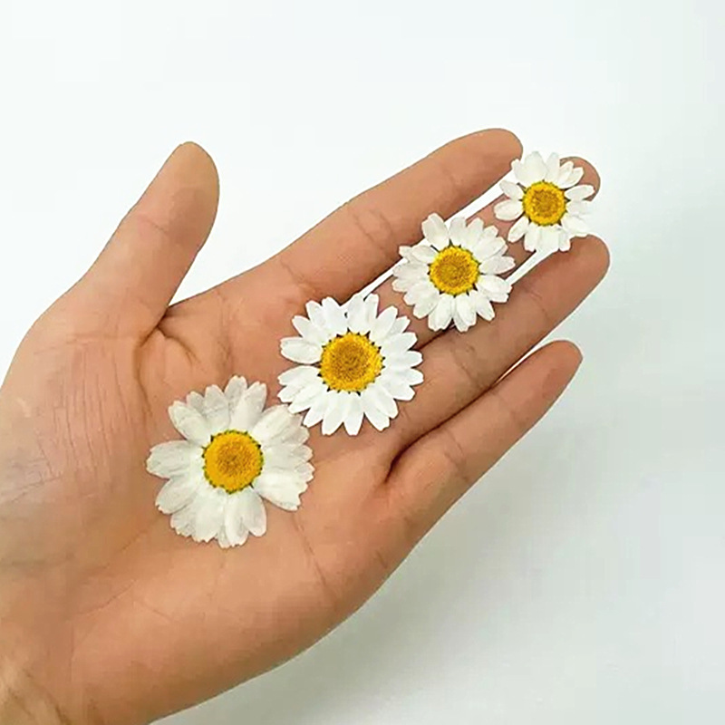 100Pcs Natural White Crystal C - Resin Art Phone Case recension och pris